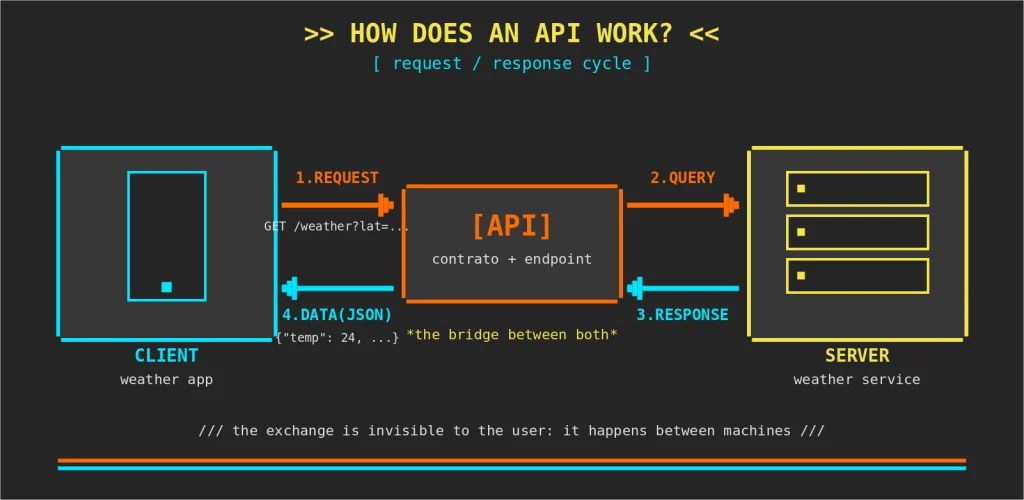 API request/response cycle